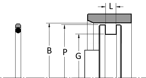 PTFE Cap Seal Compact OE Profile Low Friction Gland